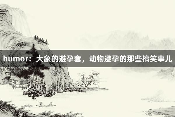 humor：大象的避孕套，动物避孕的那些搞笑事儿